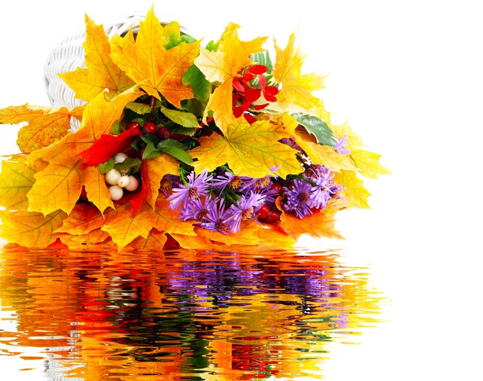 Autumn leaves and flowers in a basket with reflection