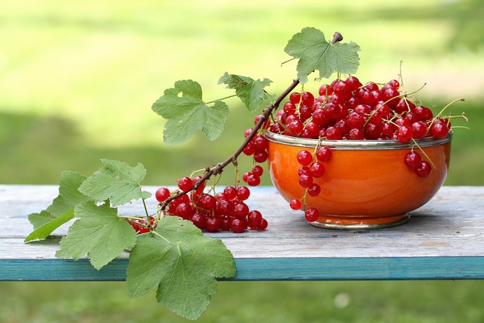 Red currants in an orange bowl on a wooden table