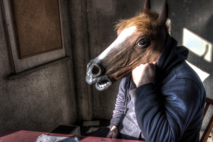 Person wearing a horse mask in a room