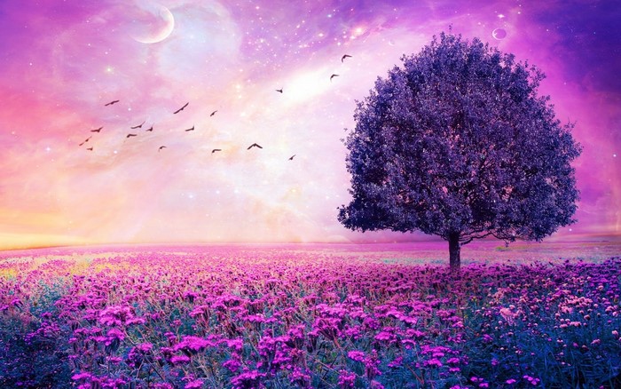 Fantasy field with purple flowers and a tree