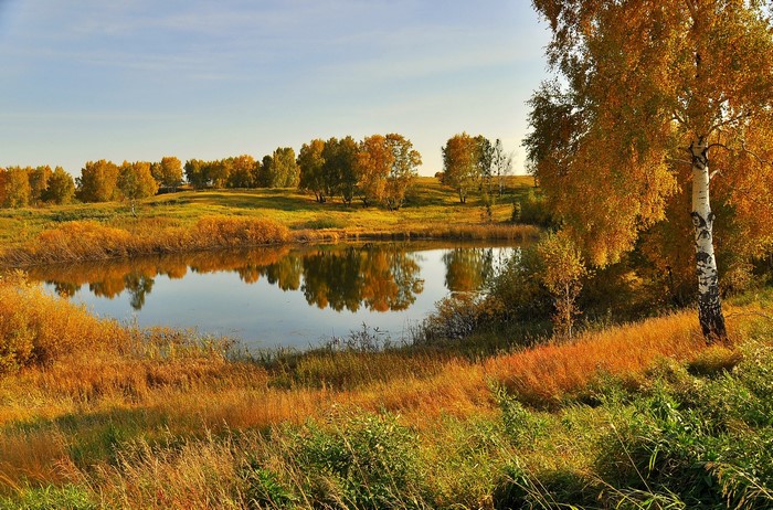 Autumn pond with trees reflecting in the water
