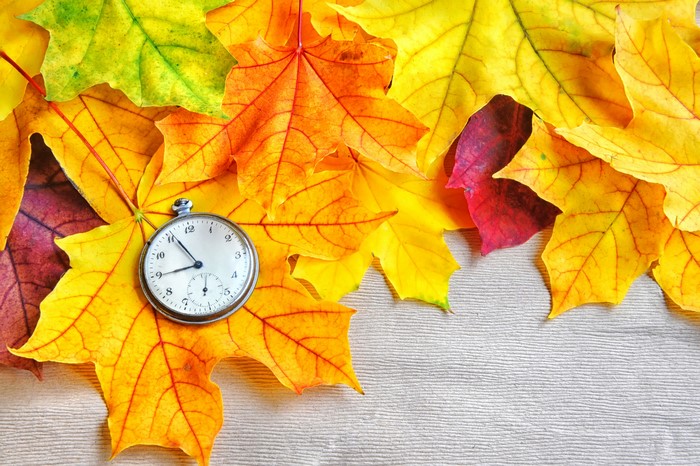 Autumn leaves and pocket watch