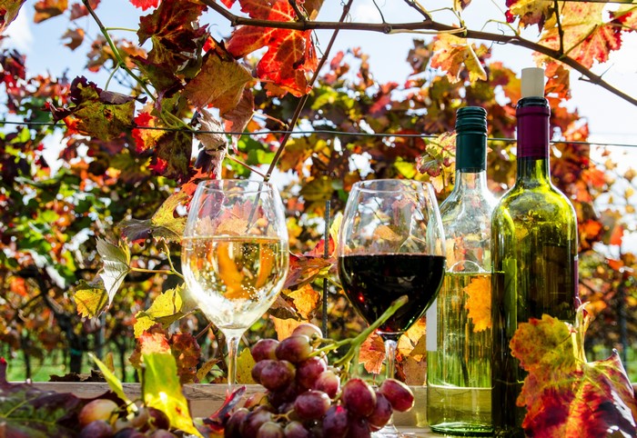 Wine glasses and bottles with grapes and autumn leaves