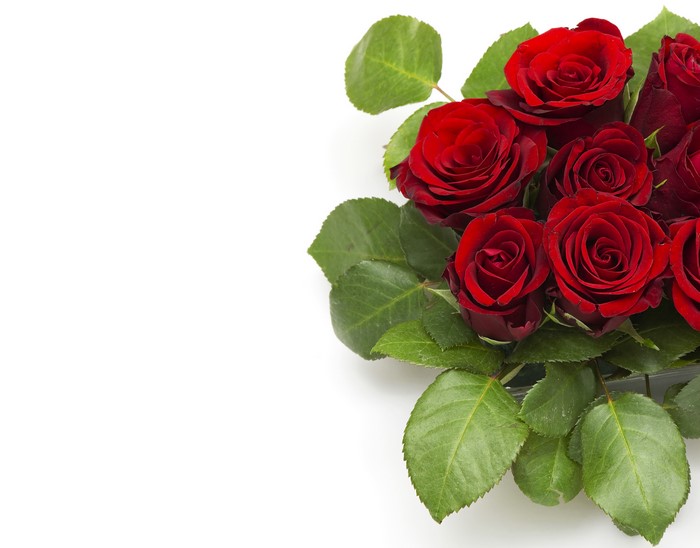 A bouquet of deep red roses with green leaves