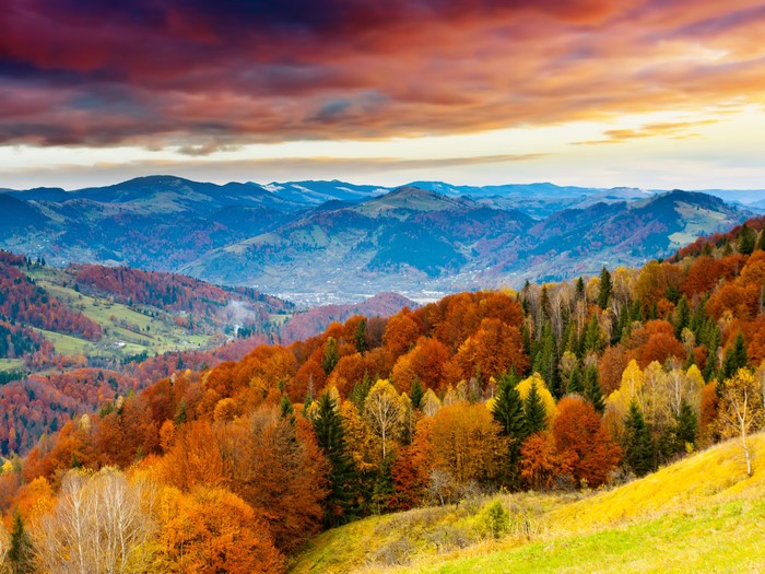 Autumn Mountains and Forests Scenery 4K