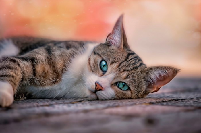 Painting of a cat with blue eyes