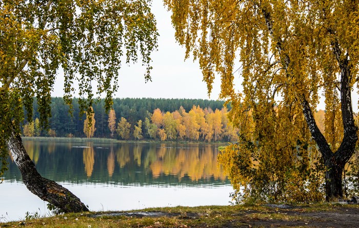 Autumn trees reflected in a calm lake