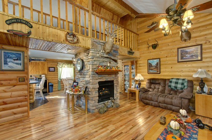 Log Cabin Living Room with Fireplace and Sofa