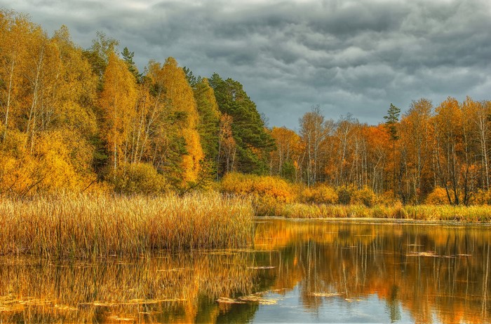 Autumn River Reflecting Golden Forests Under Cloudy Sky