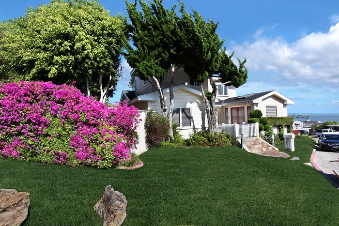 House with vibrant pink bougainvillea and cypress trees