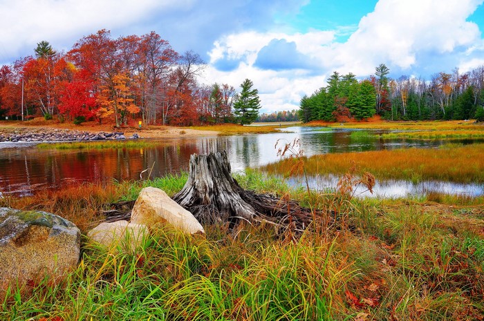 Autumn river scenery with colorful trees and a tree stump