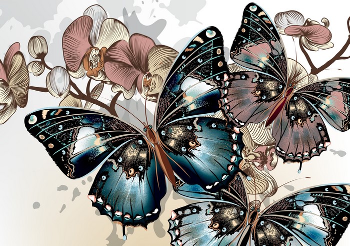 Butterflies and Orchids Vector Graphics