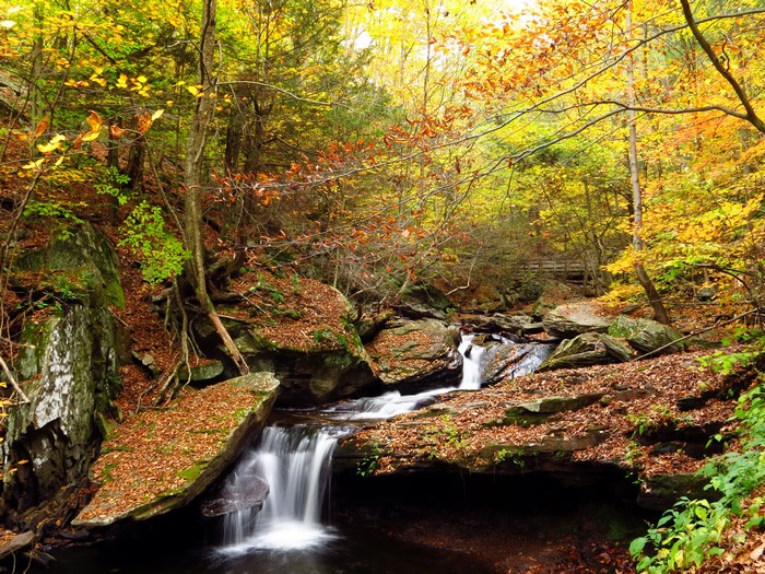 Autumn Waterfall in a Forest with Colorful Foliage