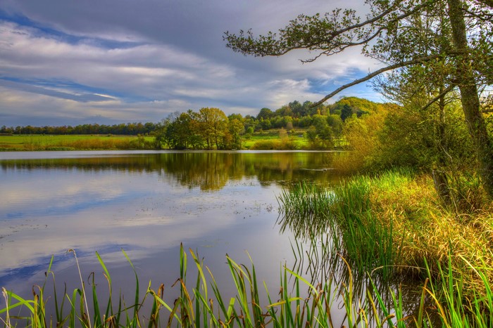 Lake and trees in Ulmen, Germany