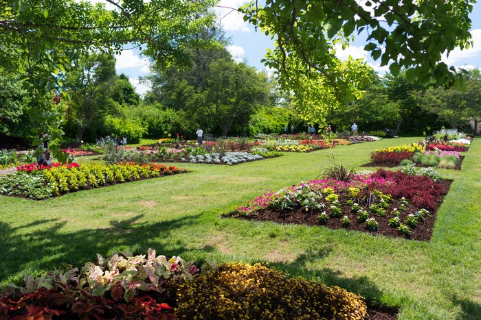 Flower beds in a park with people