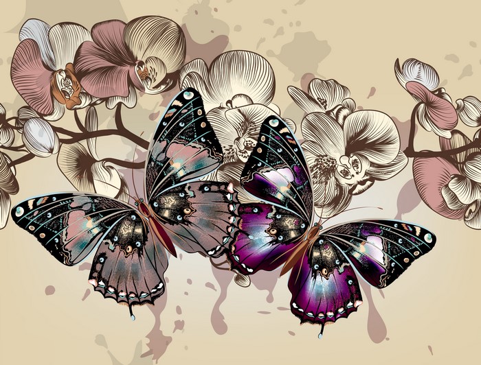 Butterflies and Orchids Vector Graphics