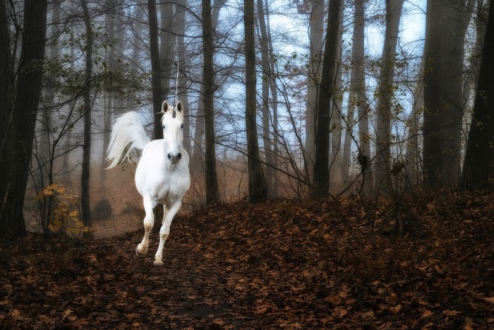 White unicorn running through a misty forest