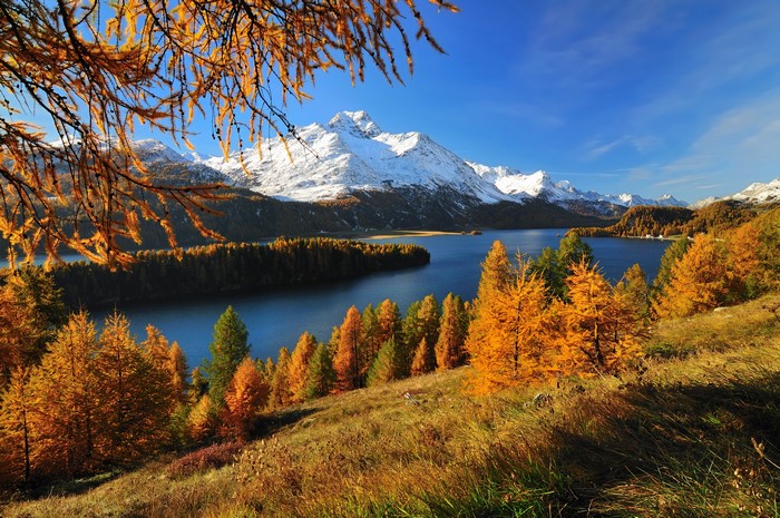 Autumn Scenery of Silsersee Lake and Mountains in Switzerland