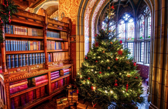 Christmas Tree and Bookshelf in Ornate Room