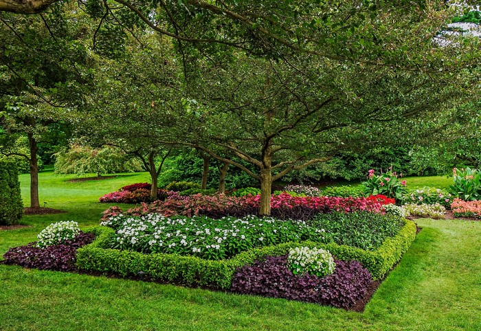 Formal garden beds with trees and grass