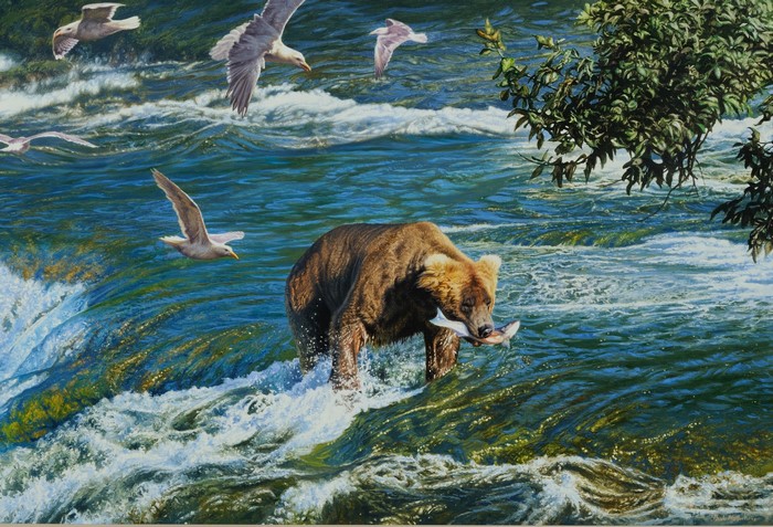 Brown bear fishing in a river with seagulls