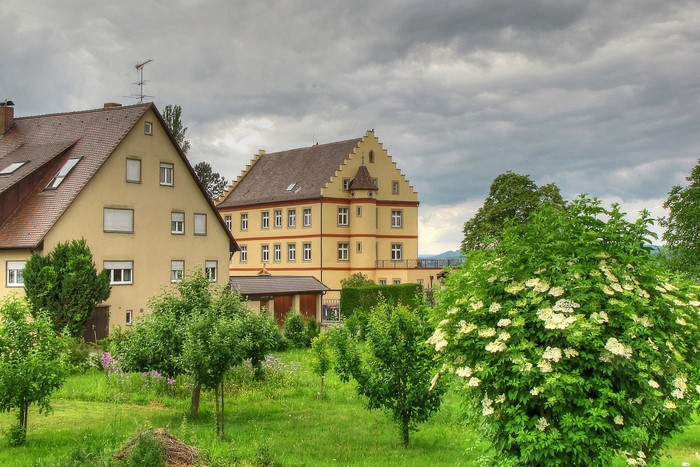 Houses and trees in Reichenau, Germany