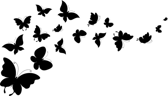 Butterflies Vector Graphics