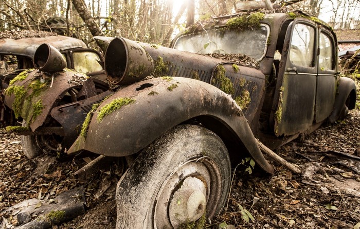 Abandoned vintage car covered in moss and leaves