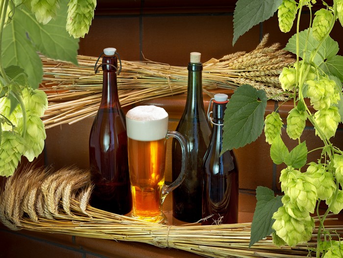 Beer mug and bottles with hops and wheat