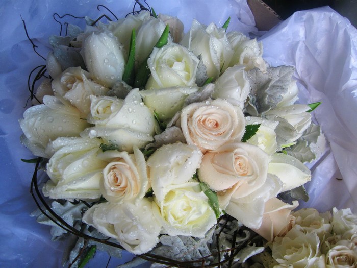 Bouquet of white and cream roses with water drops