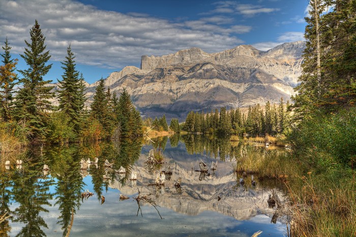 Mountain Lake with Evergreen Trees and Reflections in Alberta, Canada