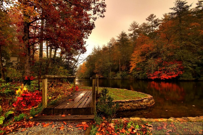 Wooden bridge over a river during autumn