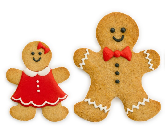 Gingerbread man and woman cookies