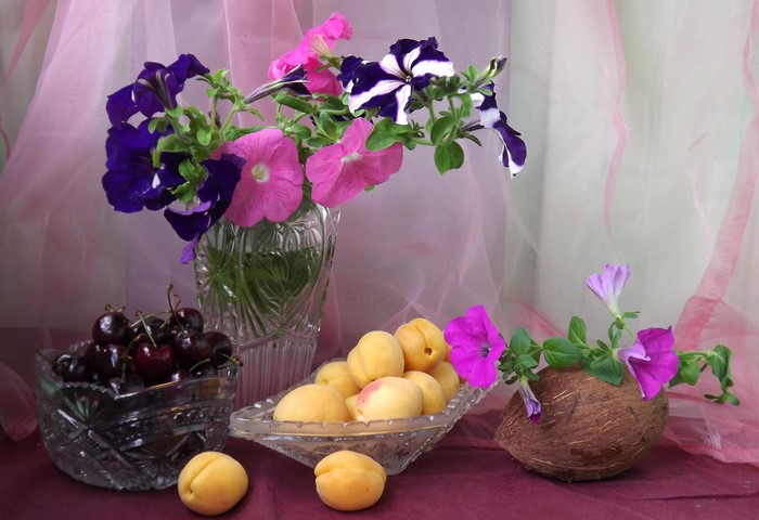 Still-life with cherries, apricots, flowers, and coconut