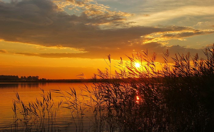 Sunset over a lake with reeds