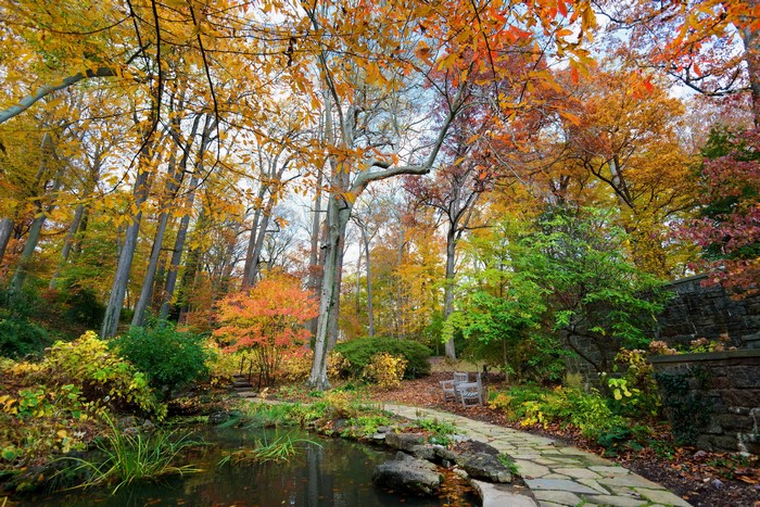 Autumn Pond and Stone Path in a Park