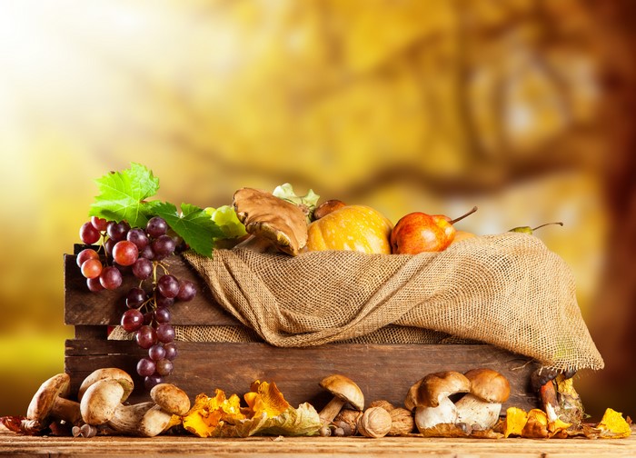 Autumn harvest of mushrooms, grapes, pears, and pumpkins