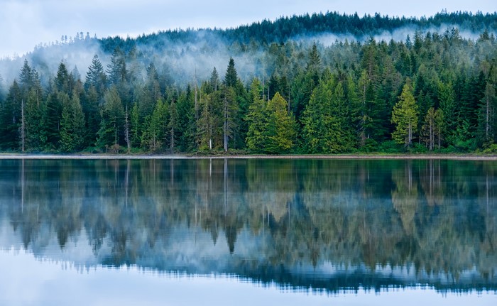 Lake and Forest Reflection in Morton, British Columbia, Canada