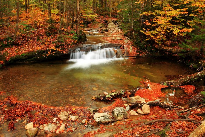 Autumn forest with a waterfall and fallen leaves