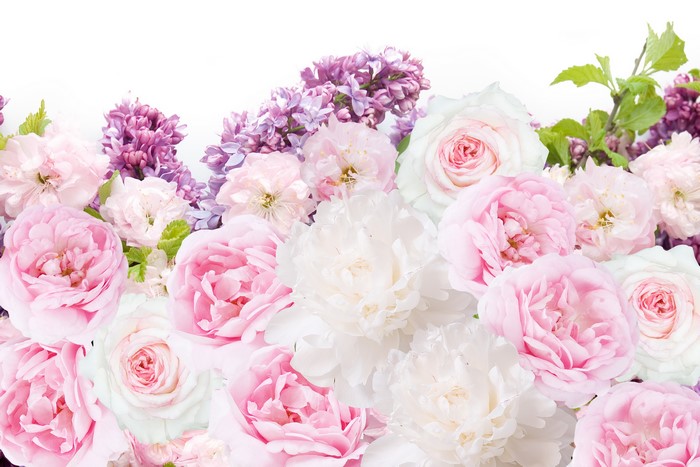 Pink and White Roses and Lilacs