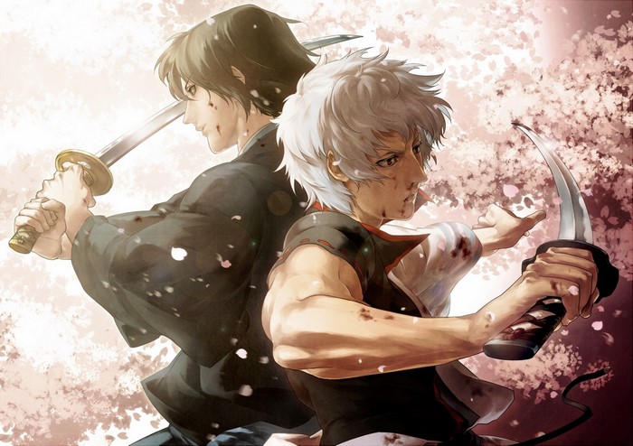 Sakata Gintoki and Katsura Kotarou from Gintama