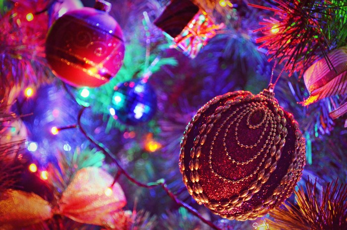 Christmas Ornaments and Lights on Tree
