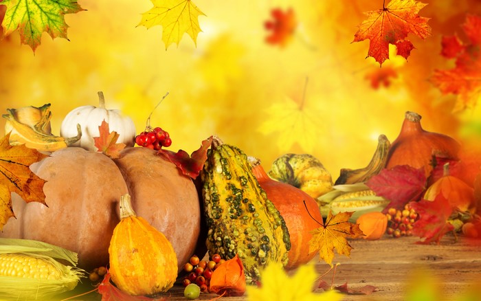 Autumn harvest with pumpkins, corn, and foliage