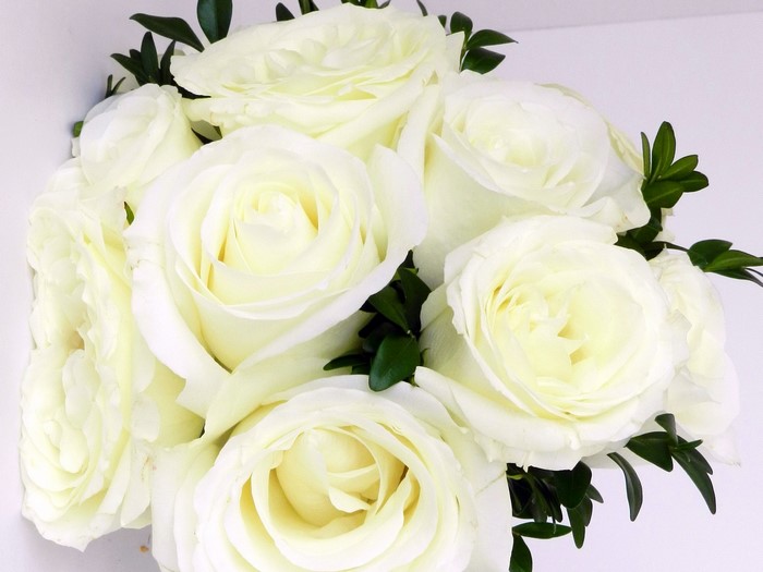 Bouquet of white roses with green leaves