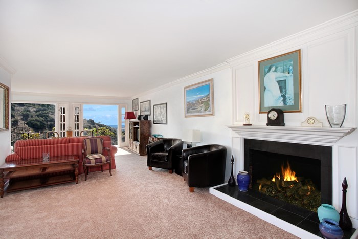 Living room with fireplace and view