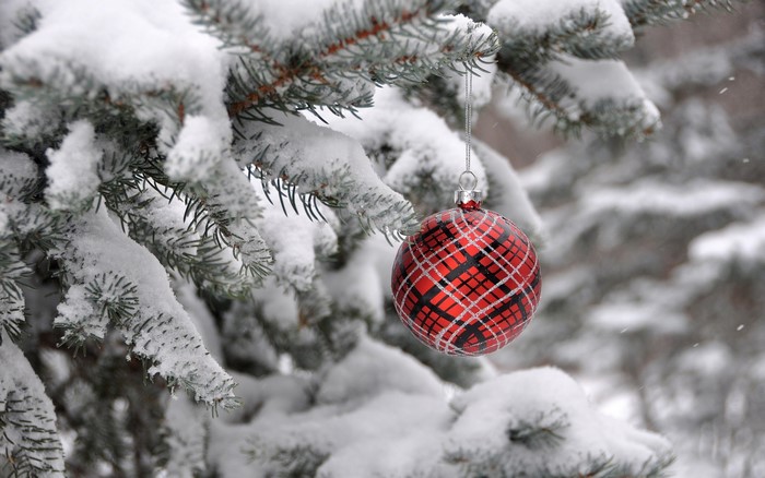 Red plaid Christmas ornament on a snow-covered pine tree