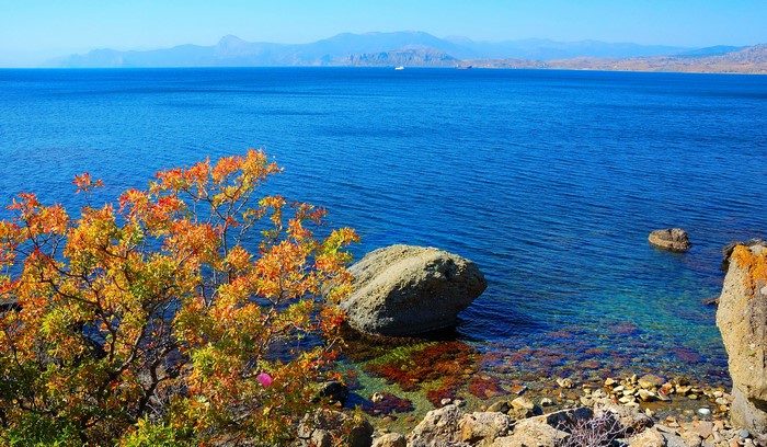 Sea coast with autumn foliage and rocks in Crimea