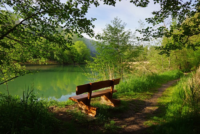Bench by a lake on a trail in Perolles, Switzerland