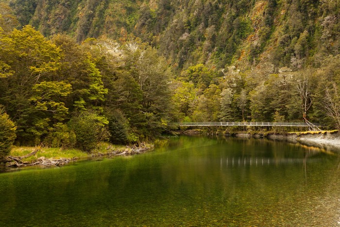 Fiordland Clinton River, New Zealand