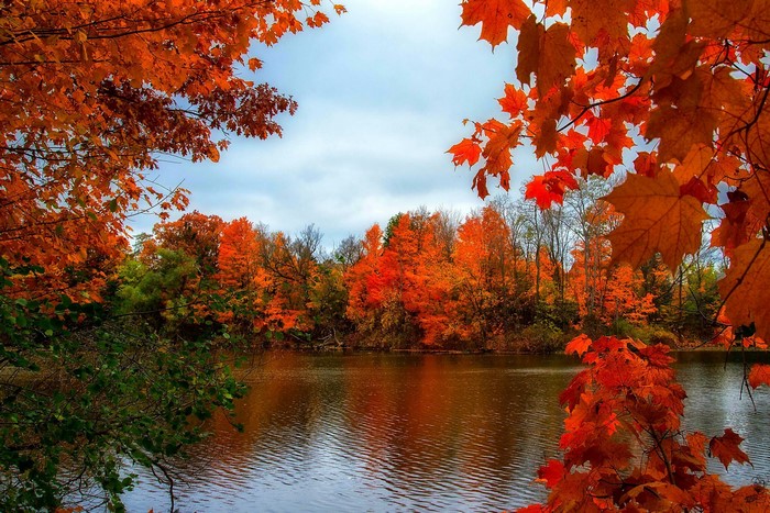 Autumn foliage reflected in a calm lake